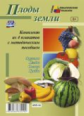 КПЛ. Комплект плакатов "Плоды земли"(4 пл: Фрукты, Ягоды, Овощи, Грибы" с метод. сопровожд.). (ФГОС)