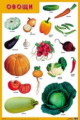 Плакат. Овощи. (50х70)
