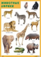 Плакат. Животные Африки. (50х70)