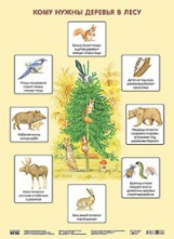 Экологическое воспитание в детском саду. Плакат. Кому нужны деревья в лесу. (ФГОС) /Николаева.