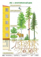 Экологическое воспитание в детском саду. Плакат. Лес - многоэтажный дом. (ФГОС) /Николаева.
