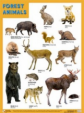 Плакат (англ). FOREST ANIMALS (Лесные обитатели). (45х60)