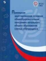 ПрАООП НОО слепых обучающихся (ФГОС ОВЗ)