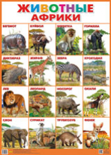Плакат. Животные Африки.