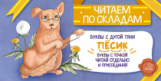 Читаем по складам. Пёсик. / Румянцева С.