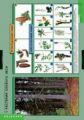 Компл. таблиц. Биология. Растения и окружающая среда. (7 табл.) + методика.