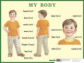 НП. Строение тела человека. My body. Английский язык для начальной школы.