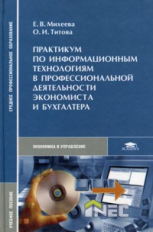 Михеева. Практикум по информационным технологиям в професс. деят. экономиста и бухгалтера. Уч. пос.