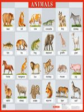 НП. Животные. Animals. Английский язык для школы.